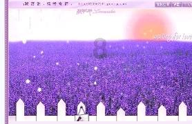 完美主义者处女座会慎重选择朋友吗？处女的朋友多吗？游戏画面